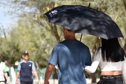 Ayer viernes la temperatura más alta de la Región Hidrológica VII se registró en Torreón, con 42 grados centígrados a la sombra. (ARCHIVO)