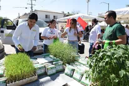 Personal del Grupo Autónomo para la Investigación Ambiental (GAIA), regaló plantas en el Paseo Colón. (EL SIGLOD DE TORREÓN)