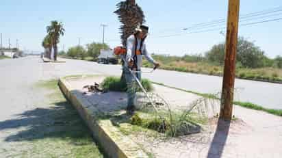 Grupo SIMSA se consolida como una empresa comprometida con la limpieza, la preservación del medio ambiente y el embellecimiento de las zonas donde realiza sus labores.