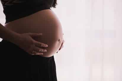 La velocidad de desarrollo es diferente, entre otras cosas porque la expresión de los genes del reloj de segmentación oscila con frecuencias diferentes.