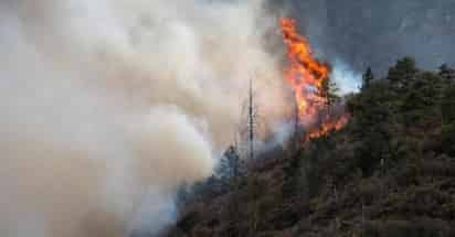 Hay 116 combatientes activos en los sitios en donde está presente el fuego. (EL SIGLO DE DURANGO)