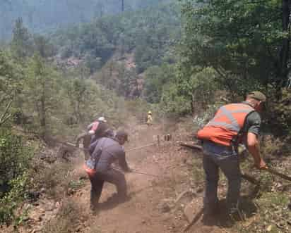 En estos momentos, son nueve los incendios forestales activos en Durango. (EL SIGLO DE DURANGO)