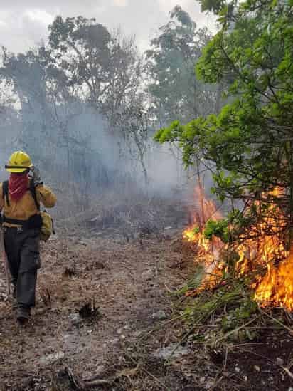 El último incendio que se registró activo en Durango, tuvo lugar en el ejido Silvestre Revueltas. (EL SIGLO DE DURANGO)