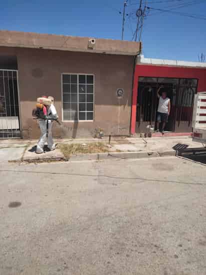Realizan acciones de fumigación contra mosquitos y garrapatas en colonias de Torreón. (EL SIGLO DE TORREÓN)