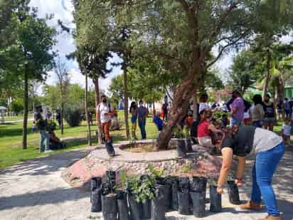 Los periodos prolongados de días con altas temperaturas en la región ocasionan estrés en las plantas. (ARCHIVO)