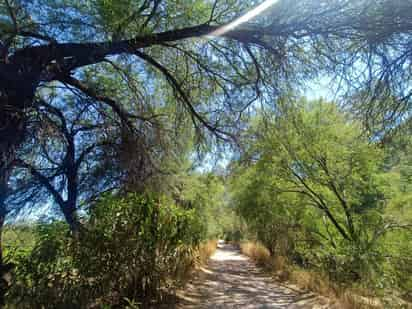 Busca Protección Civil de Lerdo prevenir incendios forestales