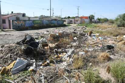 Se ha notificado a los dueños de unos 60 lotes baldíos para que los limpien y protejan. (EL SIGLO DE TORREÓN)