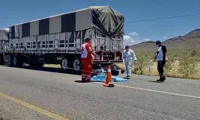 El motociclista manejaba a exceso de velocidad y colisionó en la parte de atrás del tráiler.