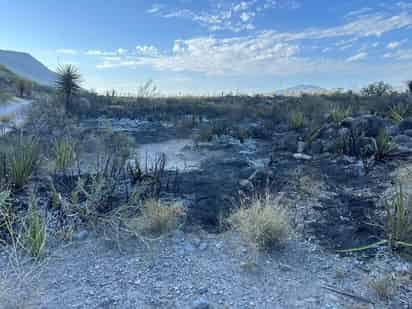 El incendio fue sofocado por los brigadistas.