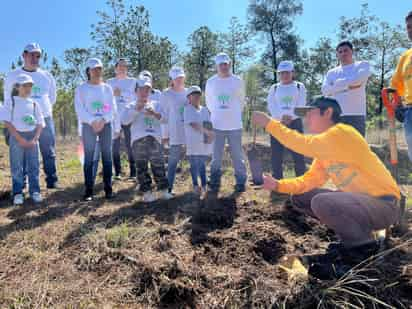 Durante el mes de julio, se realizaron siete actividades de reforestación en diversas localidades. (CORTESÍA)