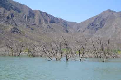 El vaso hídrico concentra 111.071 millones de metros cúbicos, de los 309.236 millones de metros cúbicos que le caben. (EL SIGLO DE DURANGO)