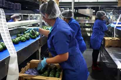 Crecen 5.16 por ciento exportaciones agroalimentarias mexicanas en este año, de acuerdo a Sader.