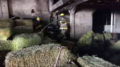 Apoyados de tres máquinas de ataque rápido, los bomberos combatieron el fuego que consumía diversas pacas de alimento.