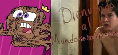 (REDES)