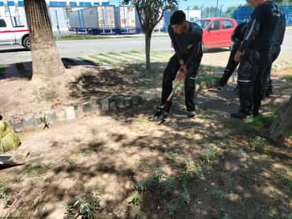 Las instalaciones de los bomberos son el espacio donde los elementos cumplen su guardia, entrenan, se preparan y descansan. (EL SIGLO DE TORREÓN)