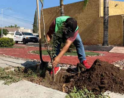 Llevan el programa 'Planta y Cuida' a Villa Florida y al Cañón de Jimulco.