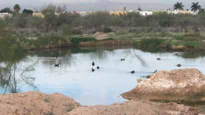 La acumulación de agua, señalada como no potable, se ubica en el bulevar Pedro Rodríguez Triana, justo a unos metros del Instituto Británico. (FERNANDO COMPEÁN)