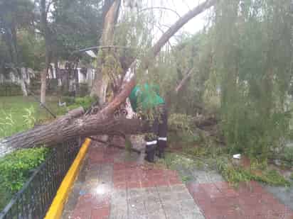Un techo colapsado y vialidades inundadas por lluvias en Lerdo