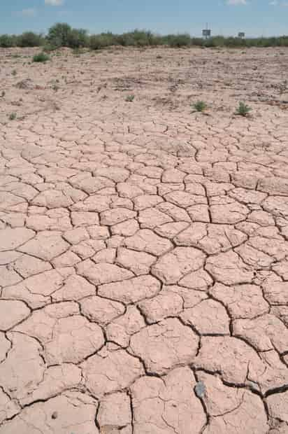 Coahuila y Durango están entre las 15 entidades con sequía severa extrema, de acuerdo con el Servicio Meteorológico Nacional. (EL SIGLO DE DURANGO)