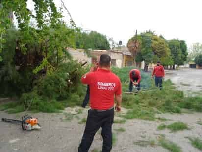 El personal de Bomberos y Protección Civil atendió los reportes.