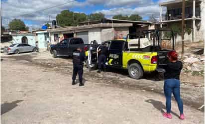 Esta no es la primera ocasión en la que se envenenan perros en esta localidad. (EL UNIVERSAL)