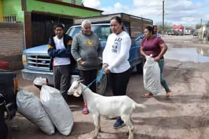 Se entregaron cabras para promover la engorda de ganado para el autoconsumo y con ello ayudar a la economía familiar.
