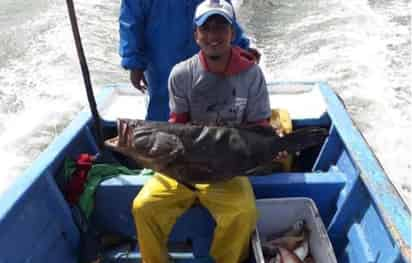 Durante los últimos años, Ecuador ha hecho esfuerzos para mejorar el control de la pesca ilegal. (ESPECIAL)