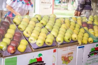 Se tuvo un decremento este año en producción de manzana de hasta un 35 por ciento. (CORTESÍA)