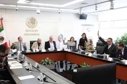 El dictamen señala que las aspirantes de la terna cumplen con los requisitos constitucionales y legales para el cargo de ministra en la Suprema Corte de Justicia de la Nación.