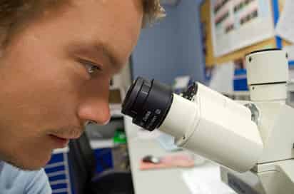 Entre un descubrimiento de ciencia fundamental y su aplicación comercial pasan 30 años.