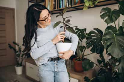 La razón por la que se recomienda hablar con tus plantas