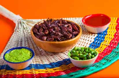 Qué nutrientes aporta comer chapulines