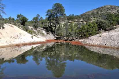 El programa se encuentra actualmente detenido por falta de recursos, pues los gobiernos de los estados de Coahuila y Durango no han aportado. (ARCHIVO)