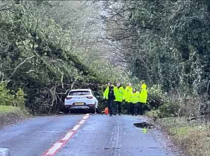 Por otra parte, una mujer resultó herida también por la caída de un árbol en Orpington, al sureste de Londres. (ESPECIAL)