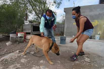 En los últimos doce años, 2023 se posicionó como el de mayor letalidad por Rickettsia en Coahuila.