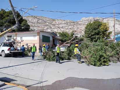 Desde las primeras horas del lunes, comenzaron a sentirse los fuertes vientos, con un incremento de entre los 45 hasta los 50 kilómetros por hora por la tarde. (EL SIGLO DE TORREÓN)