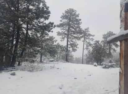 Aproximadamente mil personas viven en las comunidades que registraron presencia de nieve.