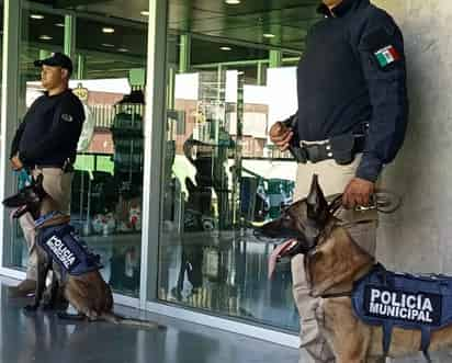 Autoridades extremarán la seguridad en eventos deportivos, concretamente en los partidos del futbol. (EL SIGLO DE TORREÓN)