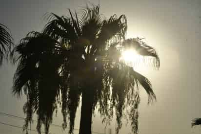 Calor en La Laguna (EL SIGLO DE TORREÓN)