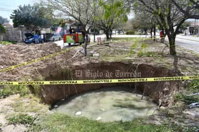 Prolifera suciedad en zona de brote