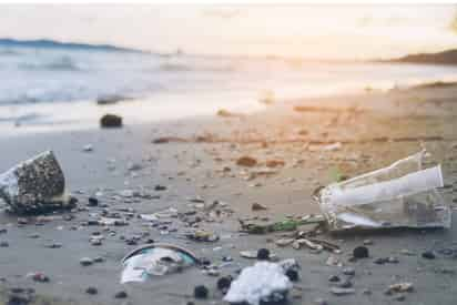 ¿Comemos el plástico que comen los peces? Sí, y también sus contaminantes