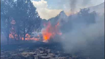 Con la prolongada sequía y el pronóstico de altas temperaturas, el municipio de Arteaga se encuentra listo y en alerta ante los incendios que se pudieran registrar.