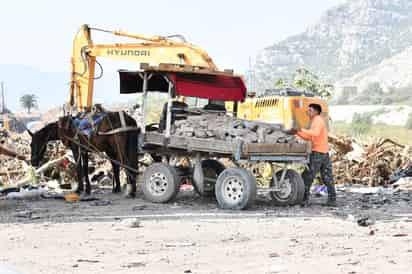 El Municipio sigue firme en su intención de plaquear los carromatos, con la finalidad de establecer un censo y tenerlos identificados. (EL SIGLO DE TORREÓN)