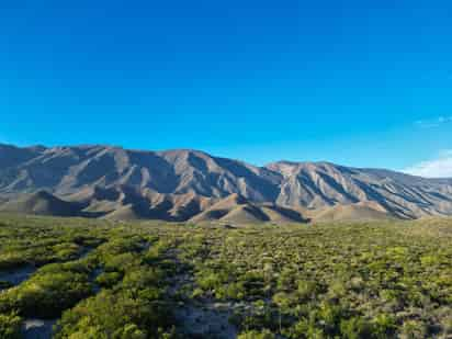 Controlan al 100% incendio en la sierra de Parras