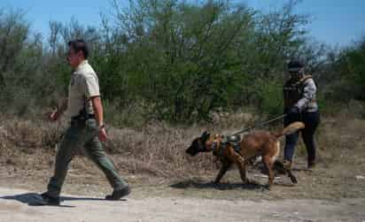  Integrantes de la fiscalía estatal acompañados de binomios caninos trabajan este jueves en la zona donde se localizaron restos humanos en el municipio de Pesquería. (EFE)