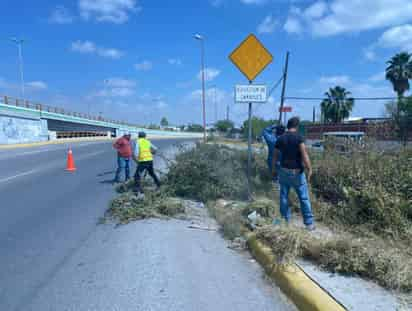 Los trabajos se realizan en la colonia Fovissste.