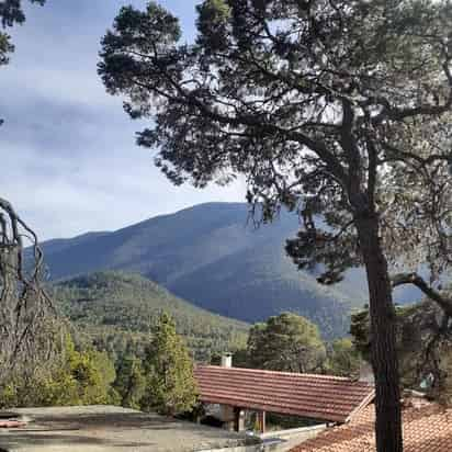 Vista de Arteaga. (ARCHIVO)