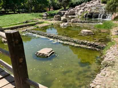 El lago es el principal atractivo del parque y está conformado por dos grandes depósitos que simbolizan las presas de la región. Al dejar de operar el equipo, el agua de los dos lagos se llenó de lama. (EL SIGLO DE TORREÓN)