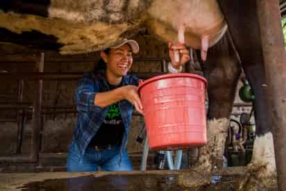 Impacta el sector lechero nacional en el desarrollo agropecuario, la seguridad alimentaria y la salud nutricional