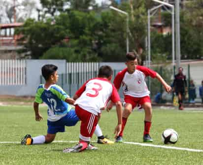 A lo largo de los meses los equipos se han brindado al máximo (ARCHIVO) 